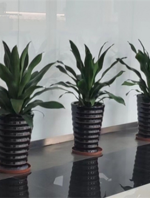 产品展示