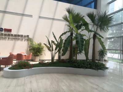室内绿植设计