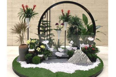 室内绿植设计