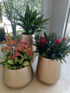 精品组合盆栽