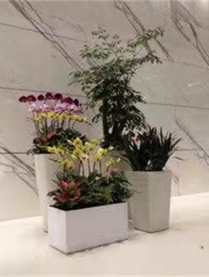 精品组合盆栽