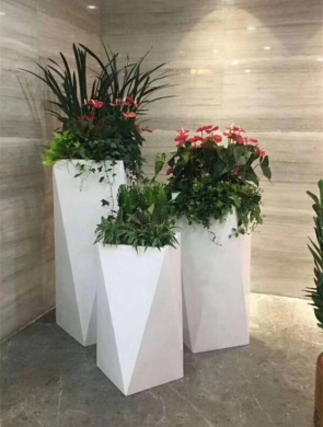 精品组合盆栽