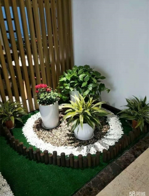 精品组合盆栽