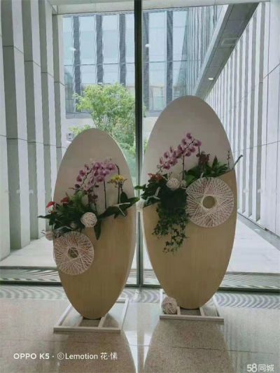 精品组合盆栽