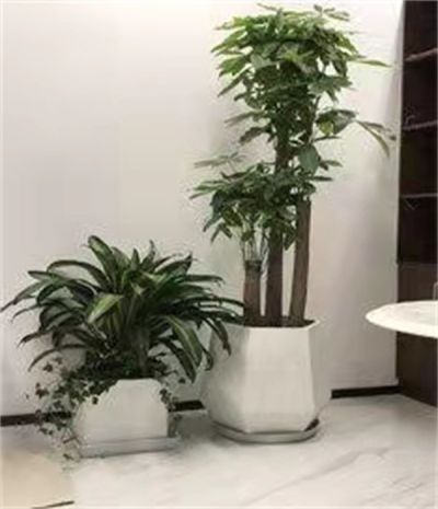 精品组合盆栽