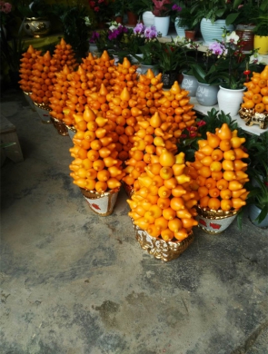 年花样板图