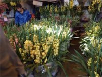 年花样板图