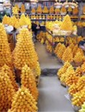 年花样板图