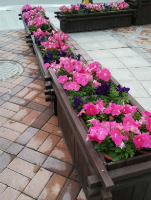 时花