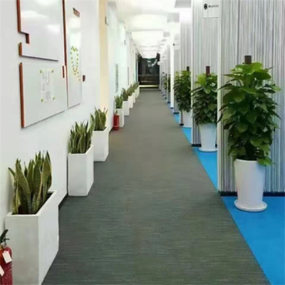 养护施工